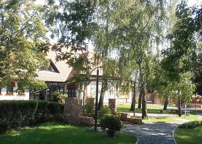Martineum Felnottkepzo Akademia